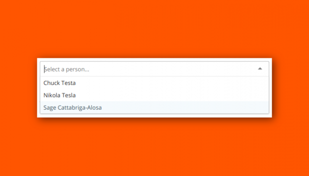 3 Plugin Searchable Select/Dropdown Untuk jQuery